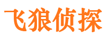 八公山飞狼私家侦探公司